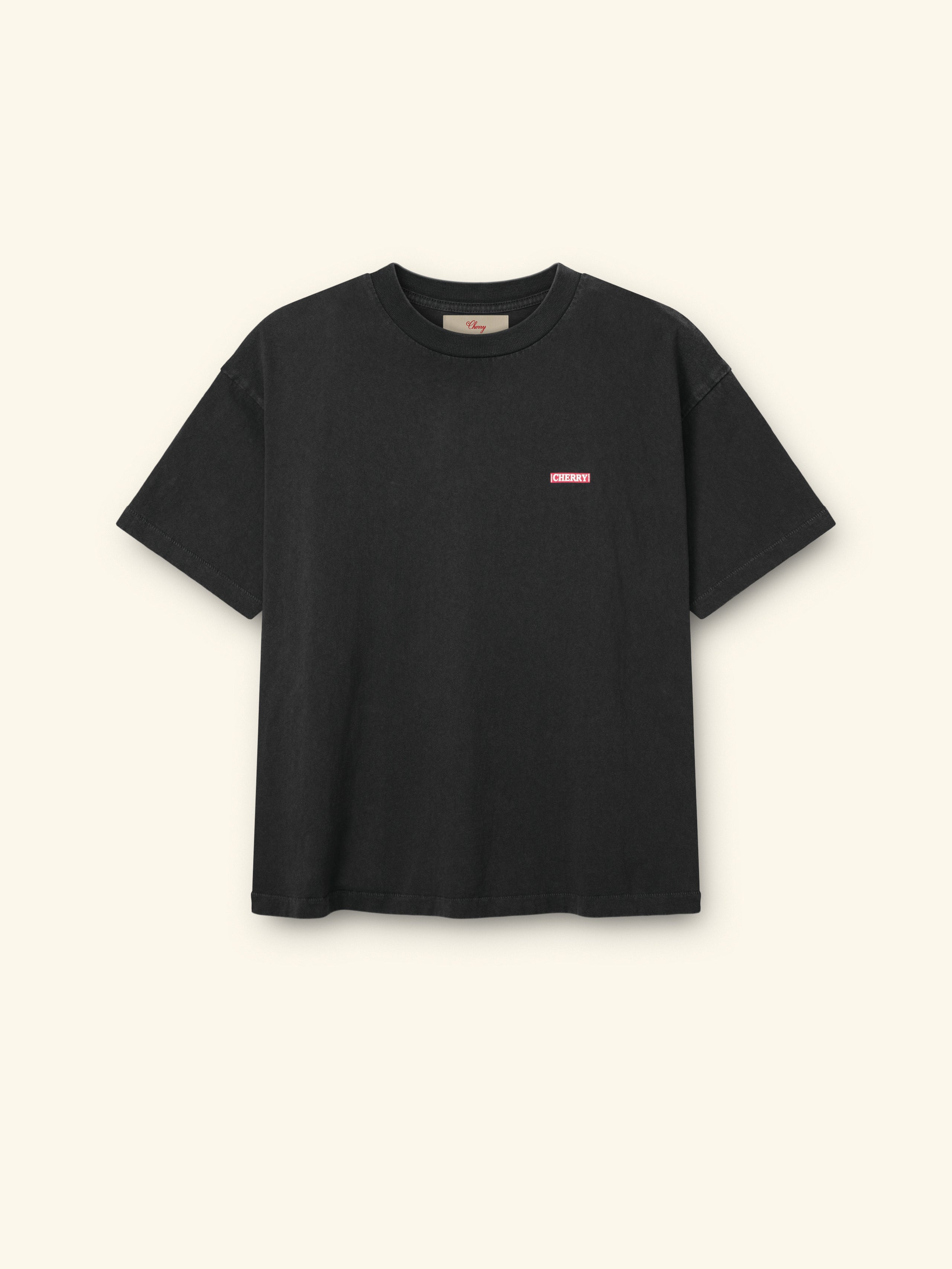 Desert Boxy T-Shirt (Vintage Black) – CHERRY LA