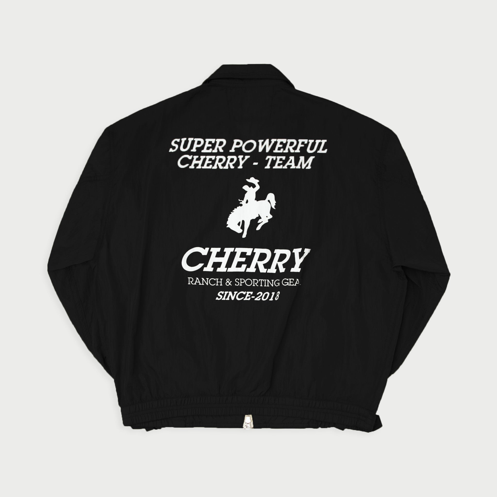 Champion supreme fashion track jacket