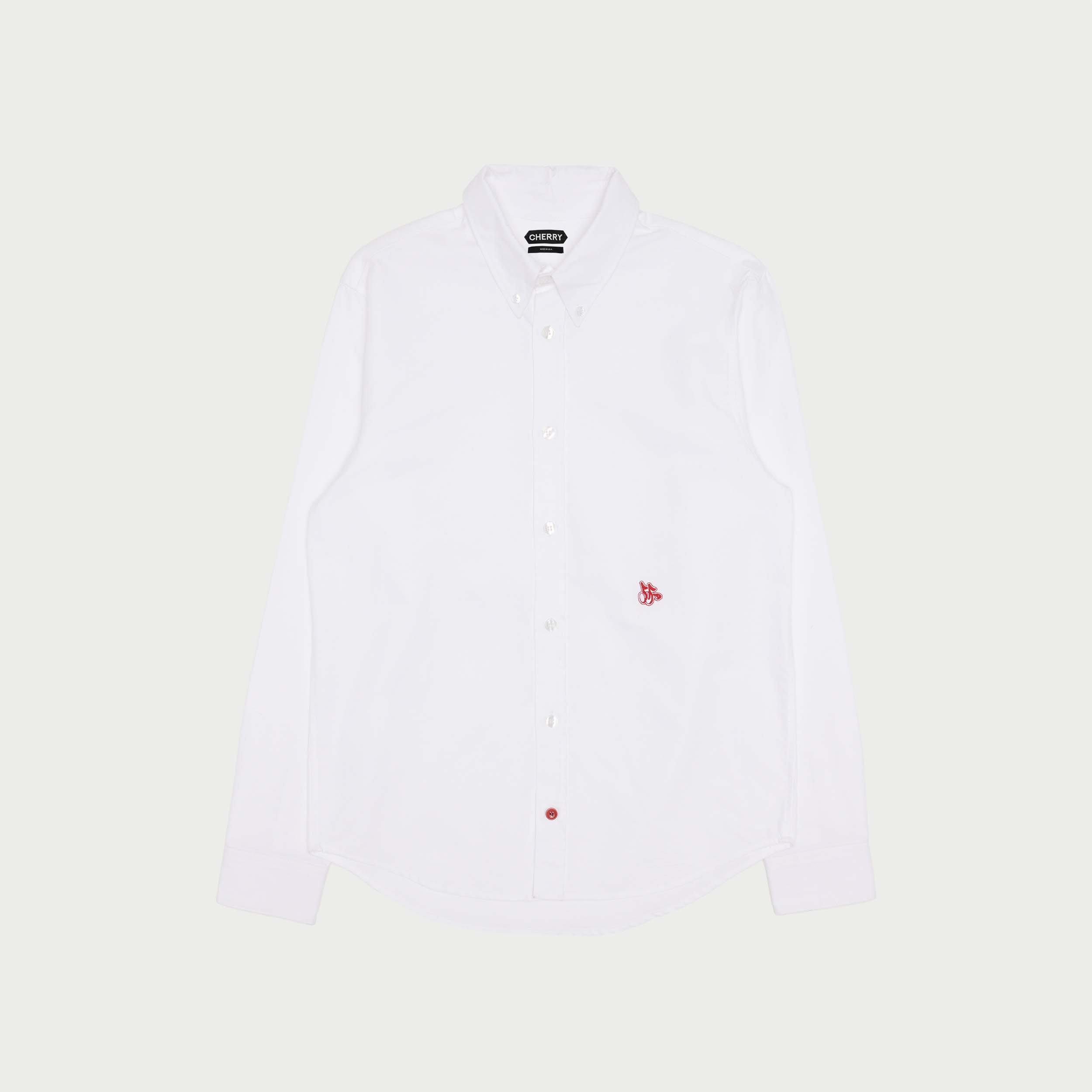 Oxford Button Down Shirt (White)