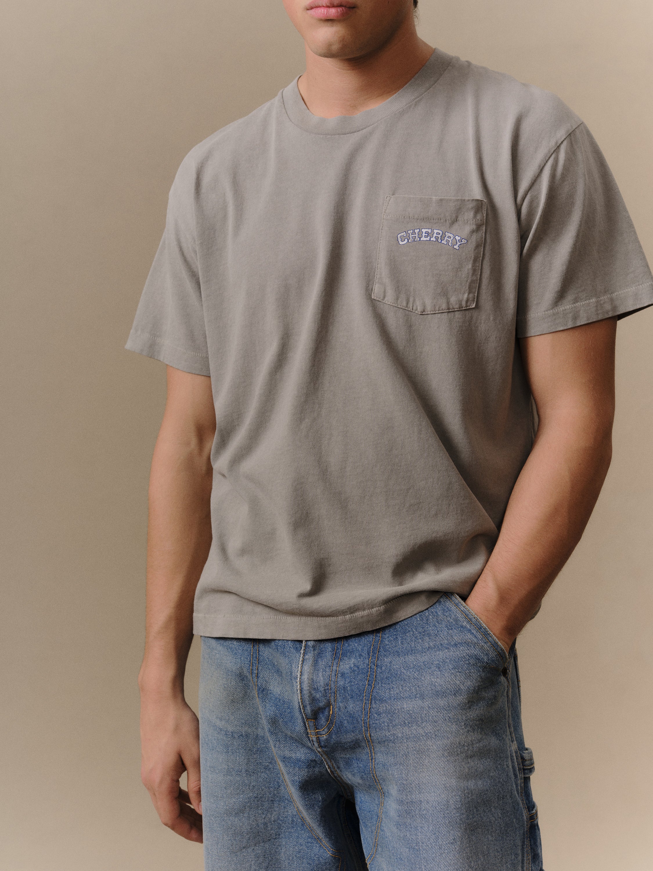 Palamino Classic Pocket T-Shirt (Smoke) – CHERRY LA