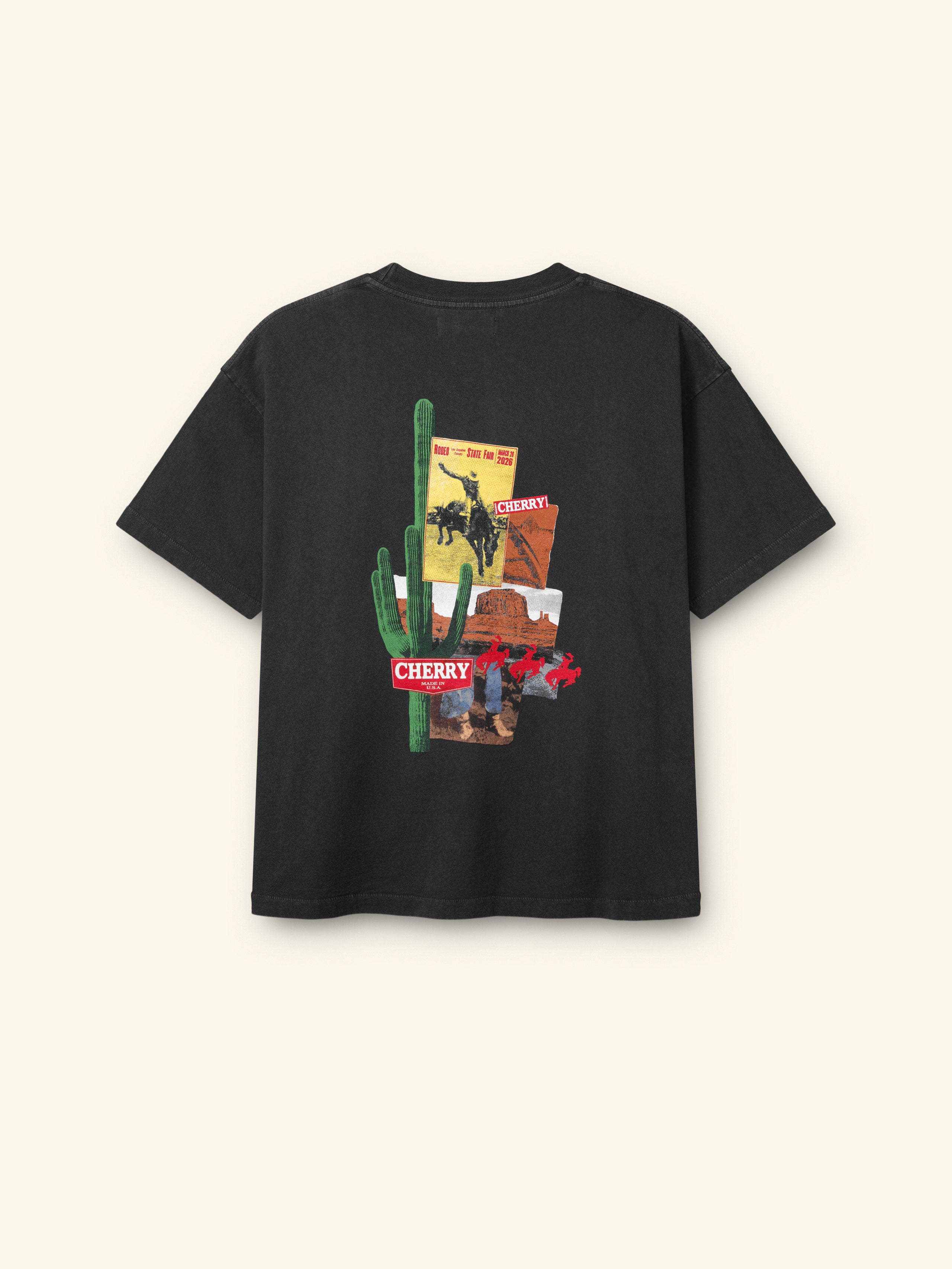Desert Boxy T-Shirt (Vintage Black) – CHERRY LA