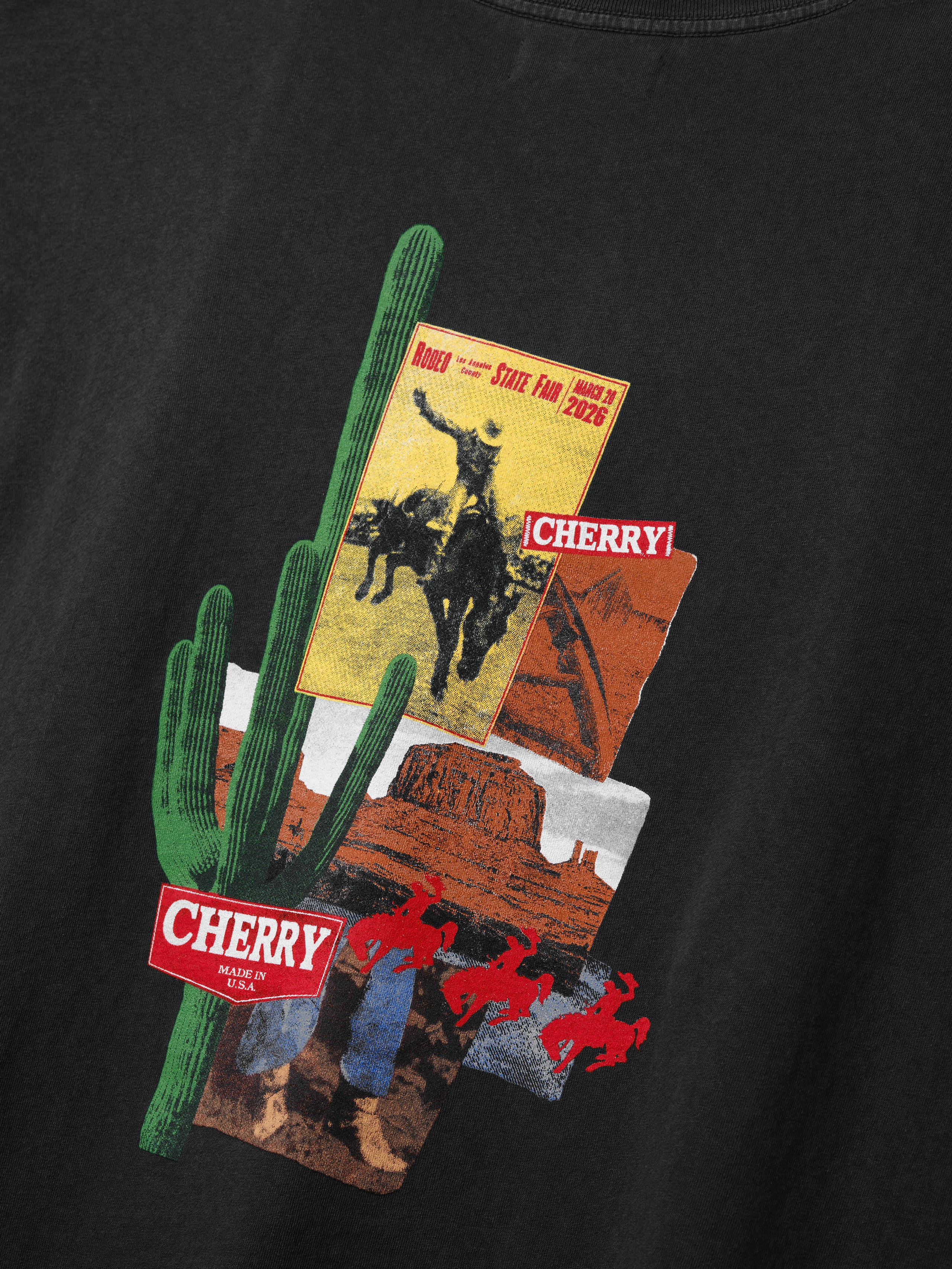 Desert Boxy T-Shirt (Vintage Black) – CHERRY LA