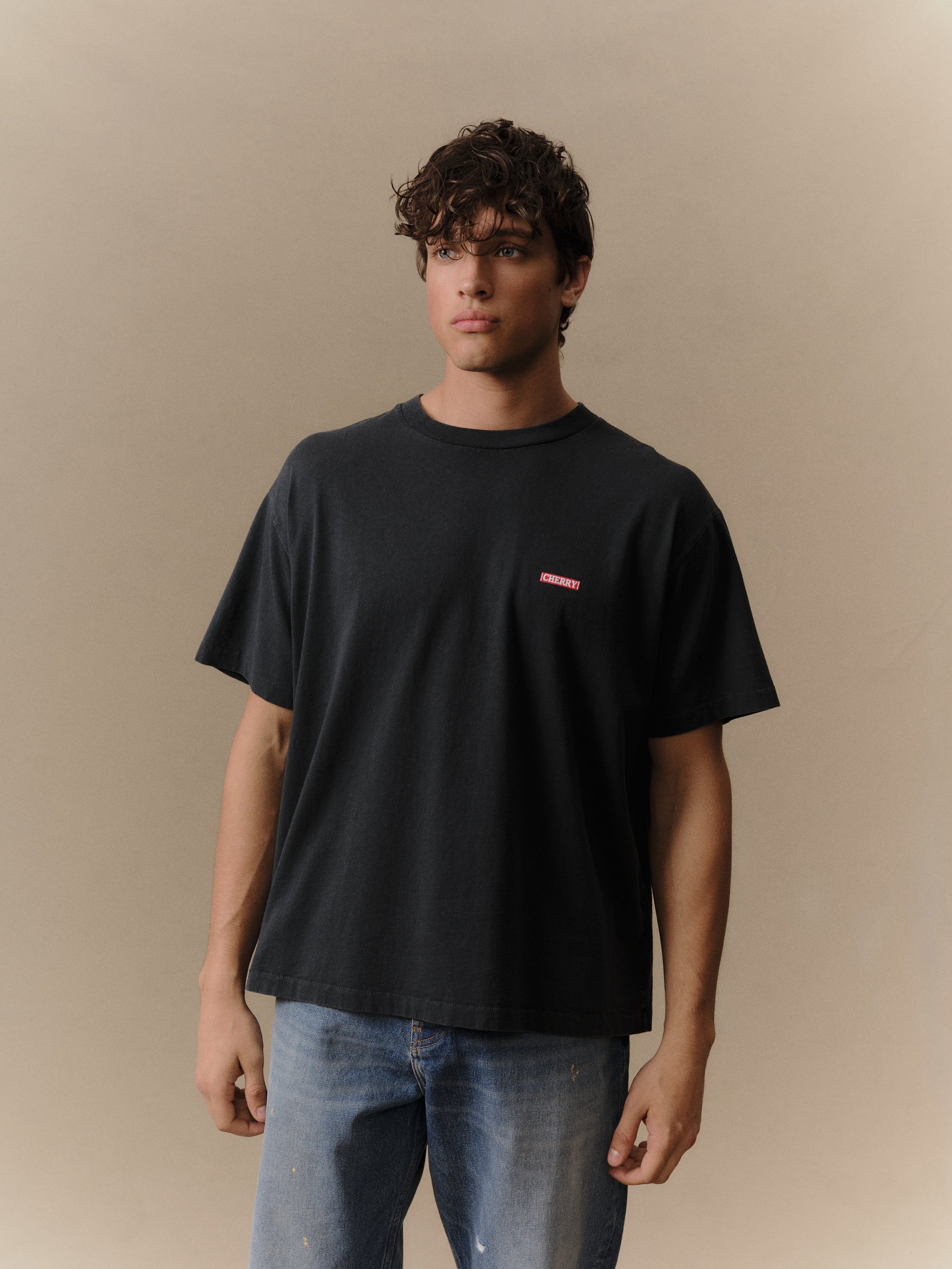 Desert Boxy T-Shirt (Vintage Black) – CHERRY LA