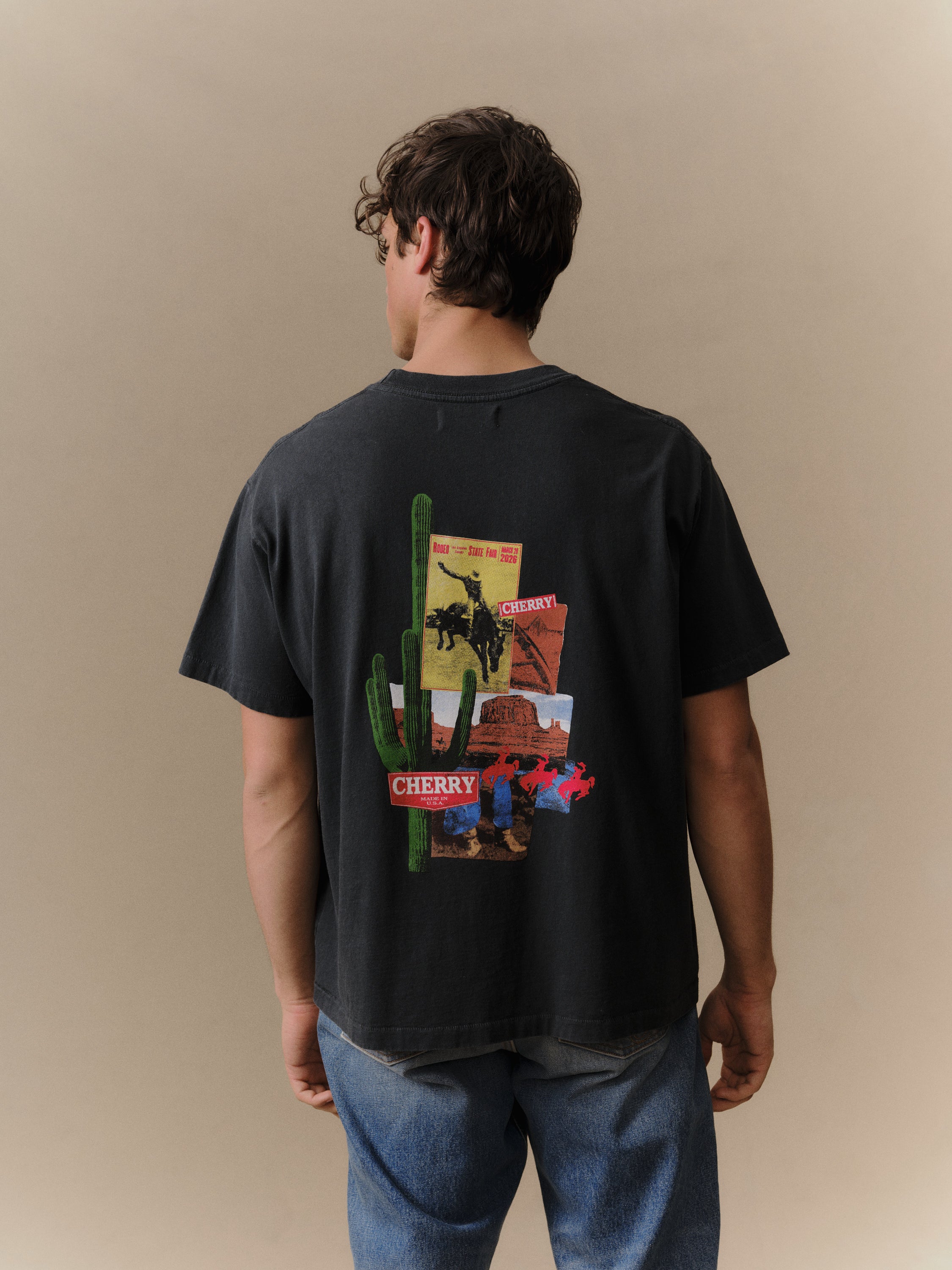Desert Boxy T-Shirt (Vintage Black) – CHERRY LA