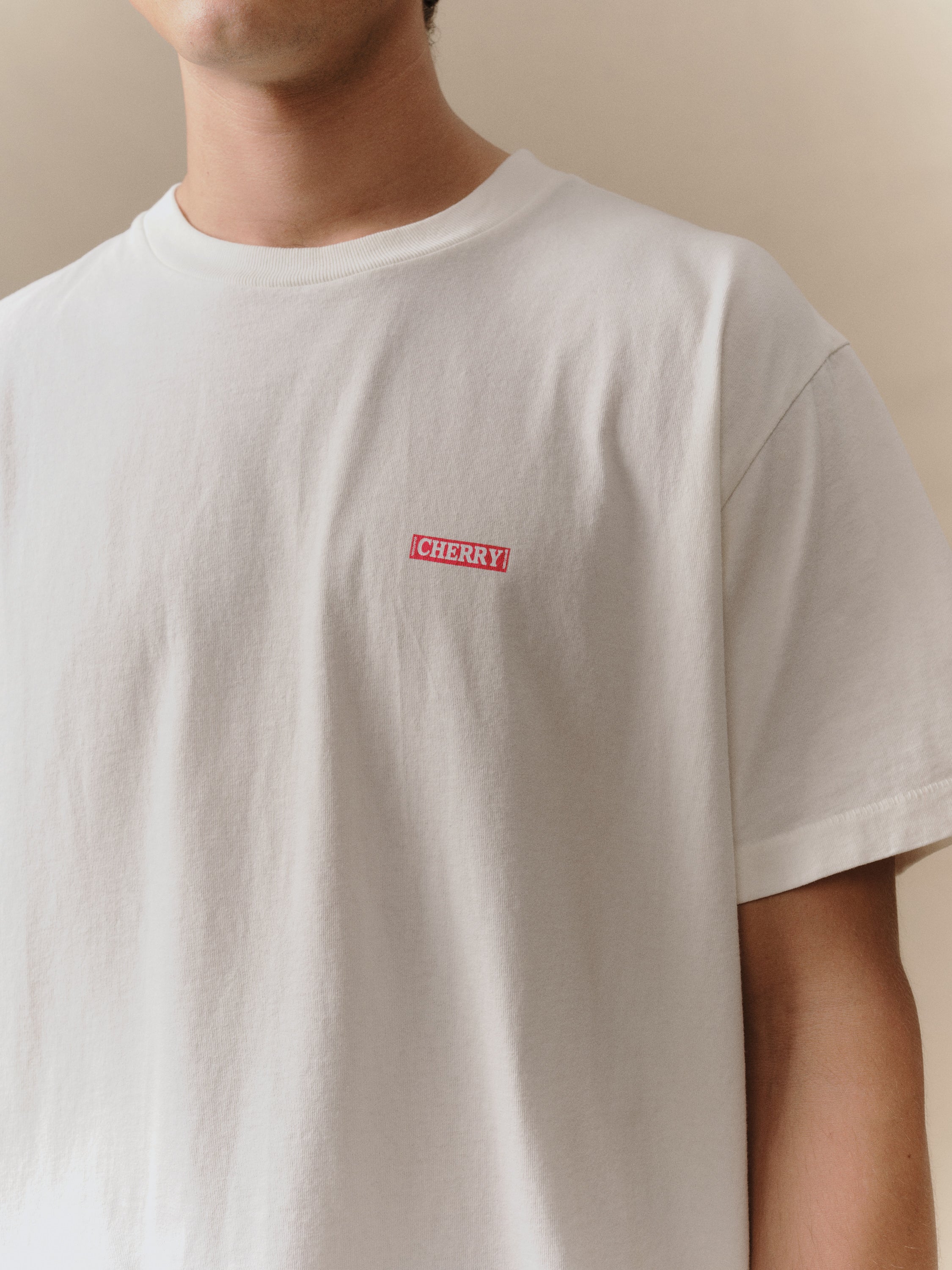 Desert Boxy T-Shirt (Vintage White)