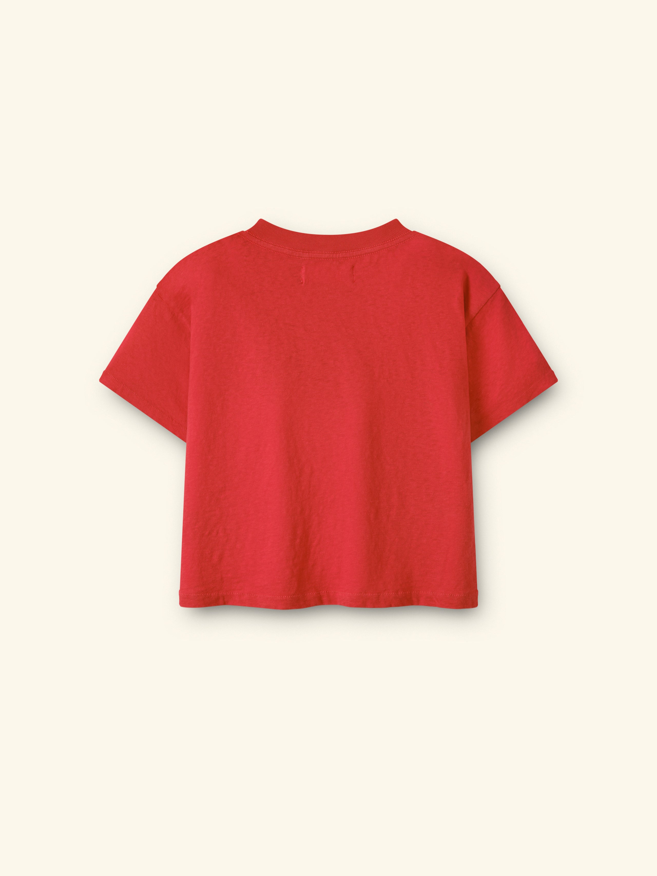 Wings Boxy Baby Tee (Tomato)
