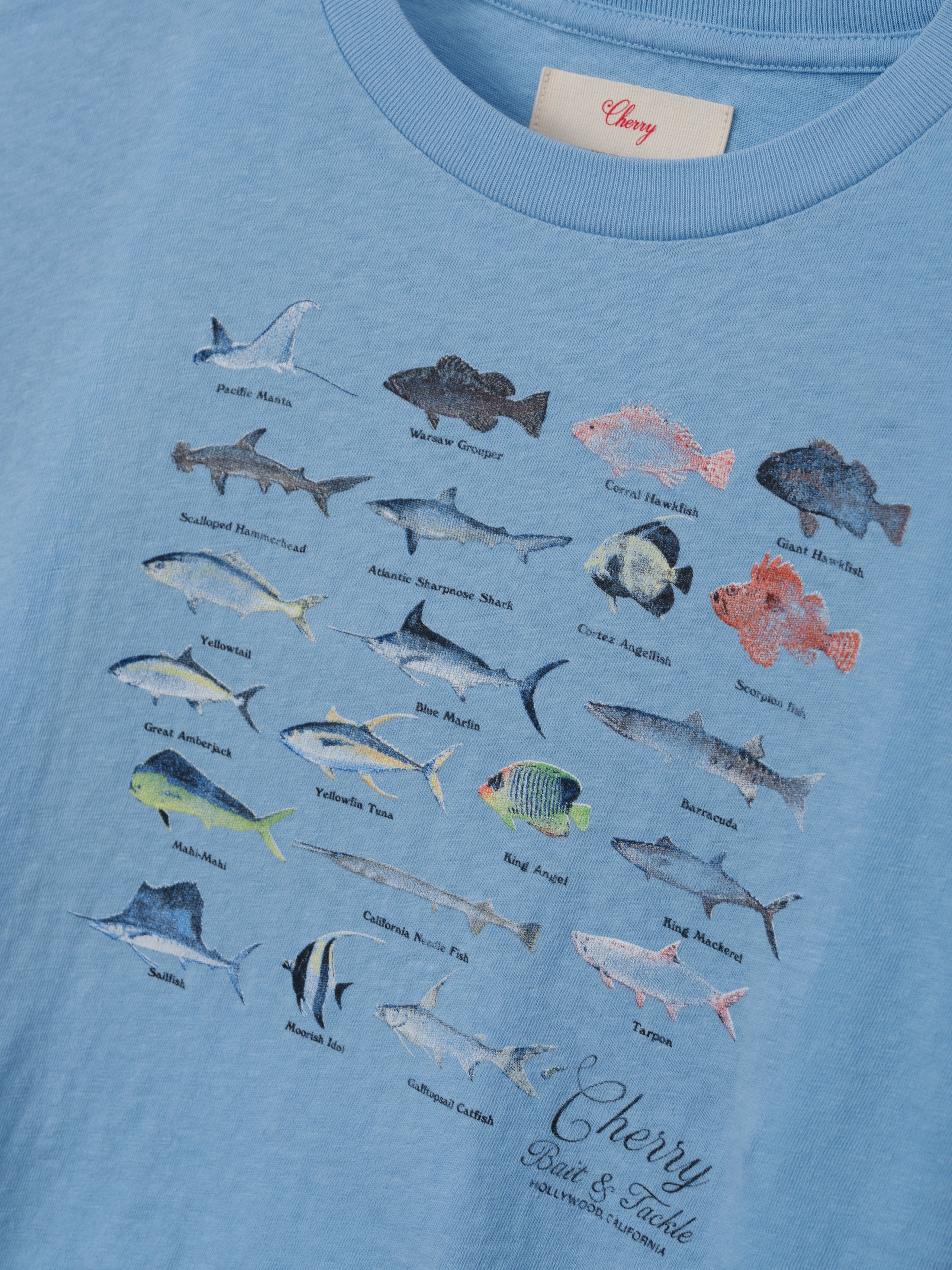 Women's Fish Boxy Tee (Sky Blue)