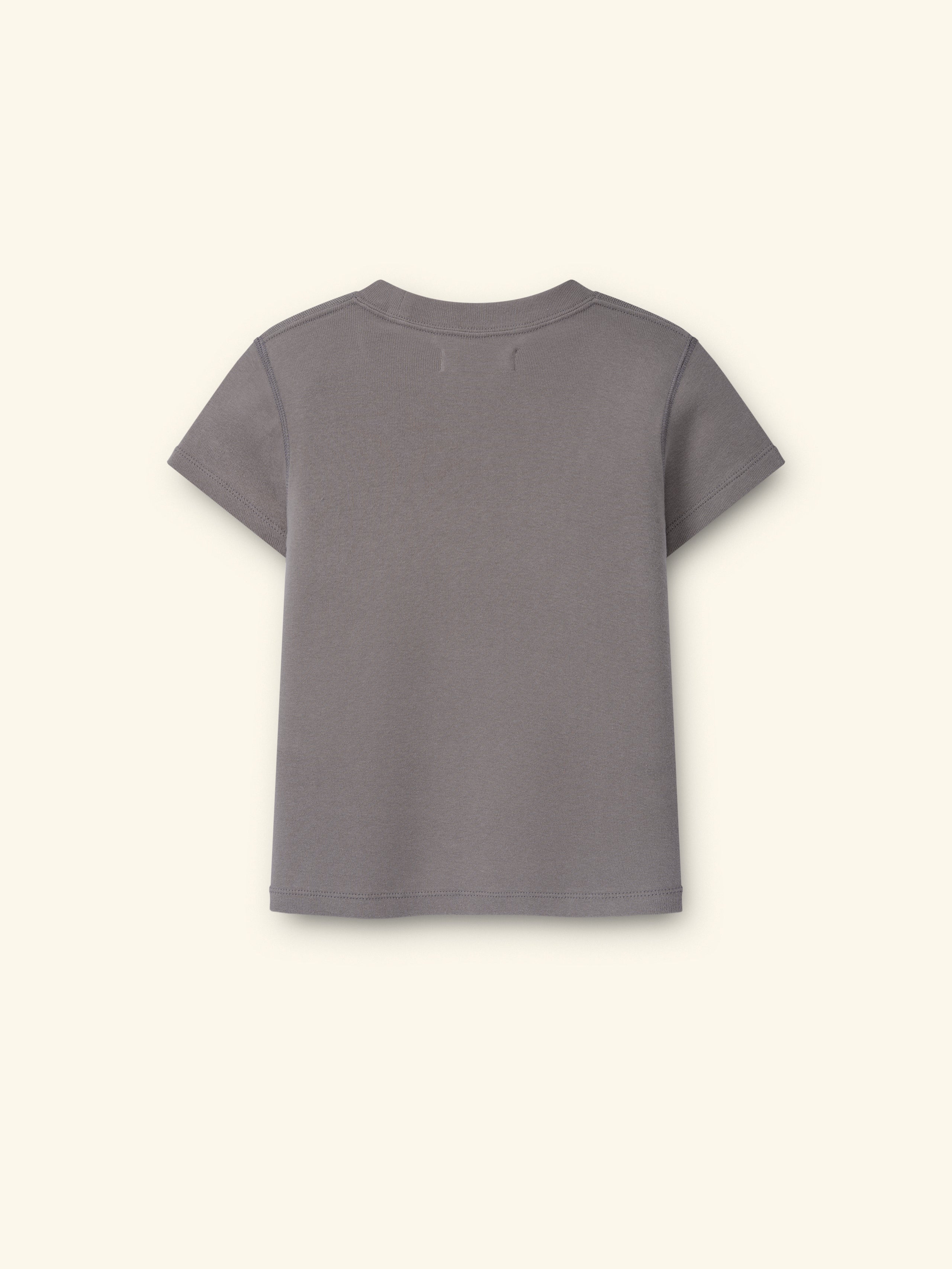 Women's Ribbed Fitted Tee (Smoke)
