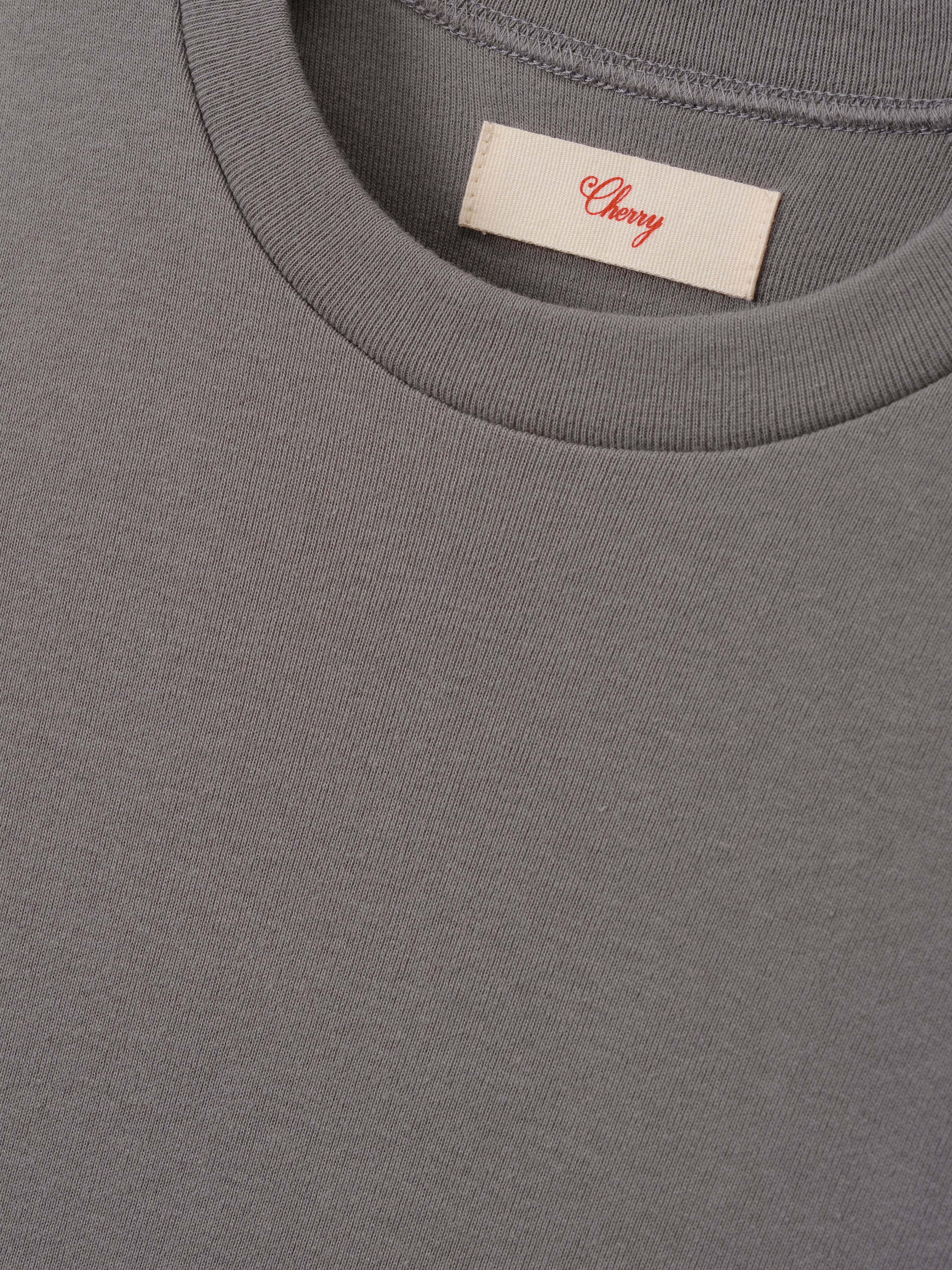 Women's Ribbed Fitted Tee (Smoke)