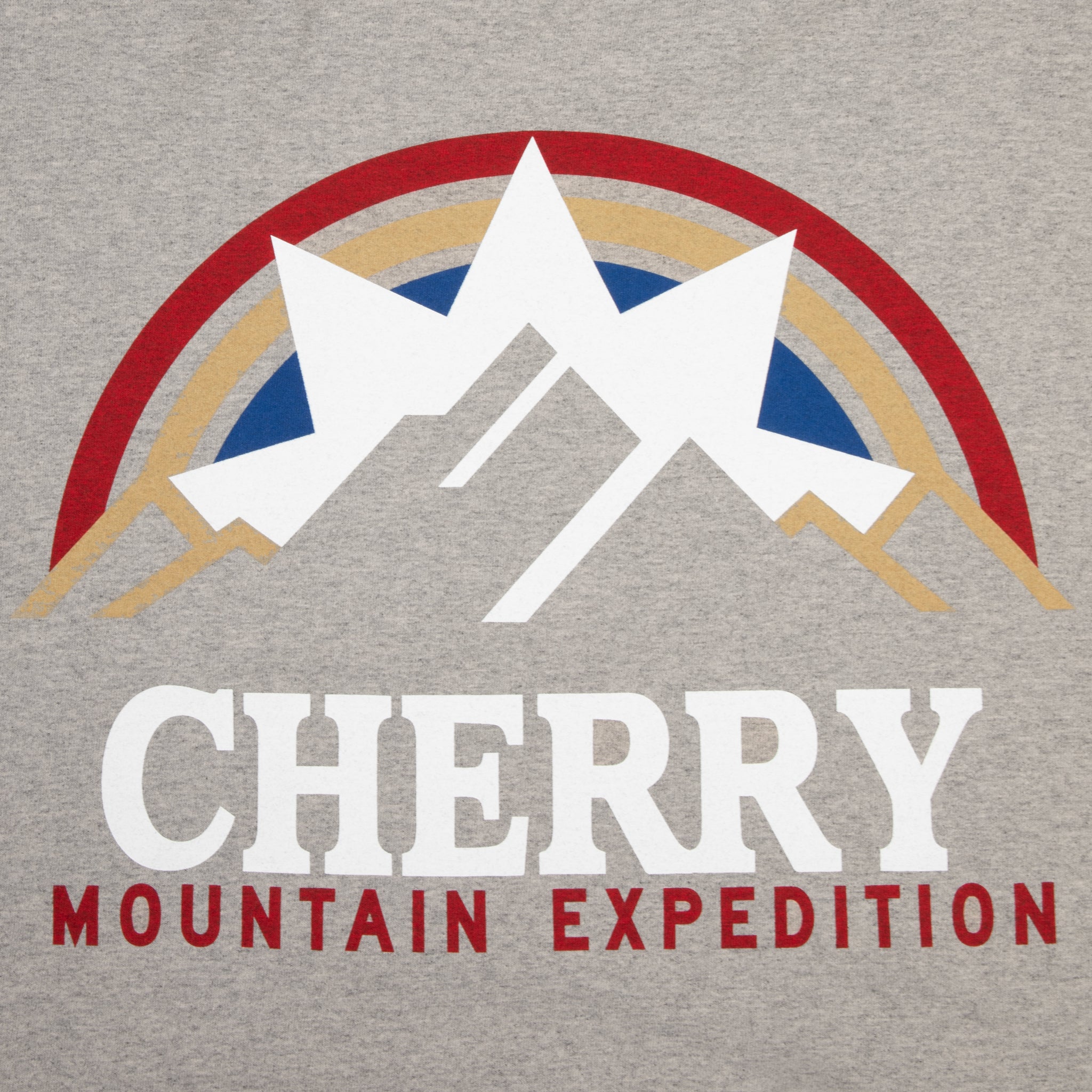 Mountain Expedition Boxy Pocket Tee (Heather Grey)