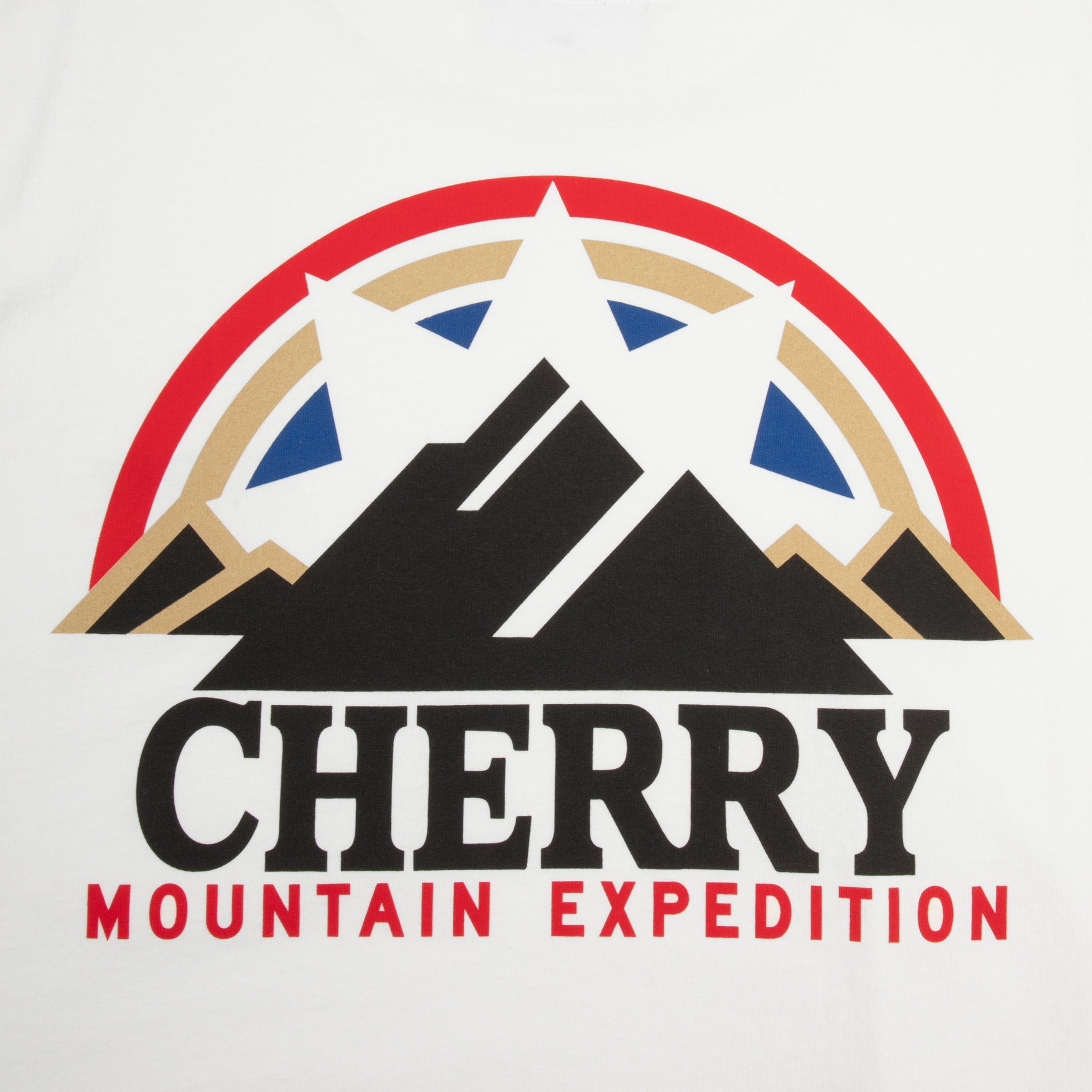 Mountain Expedition Boxy Pocket Tee (White)