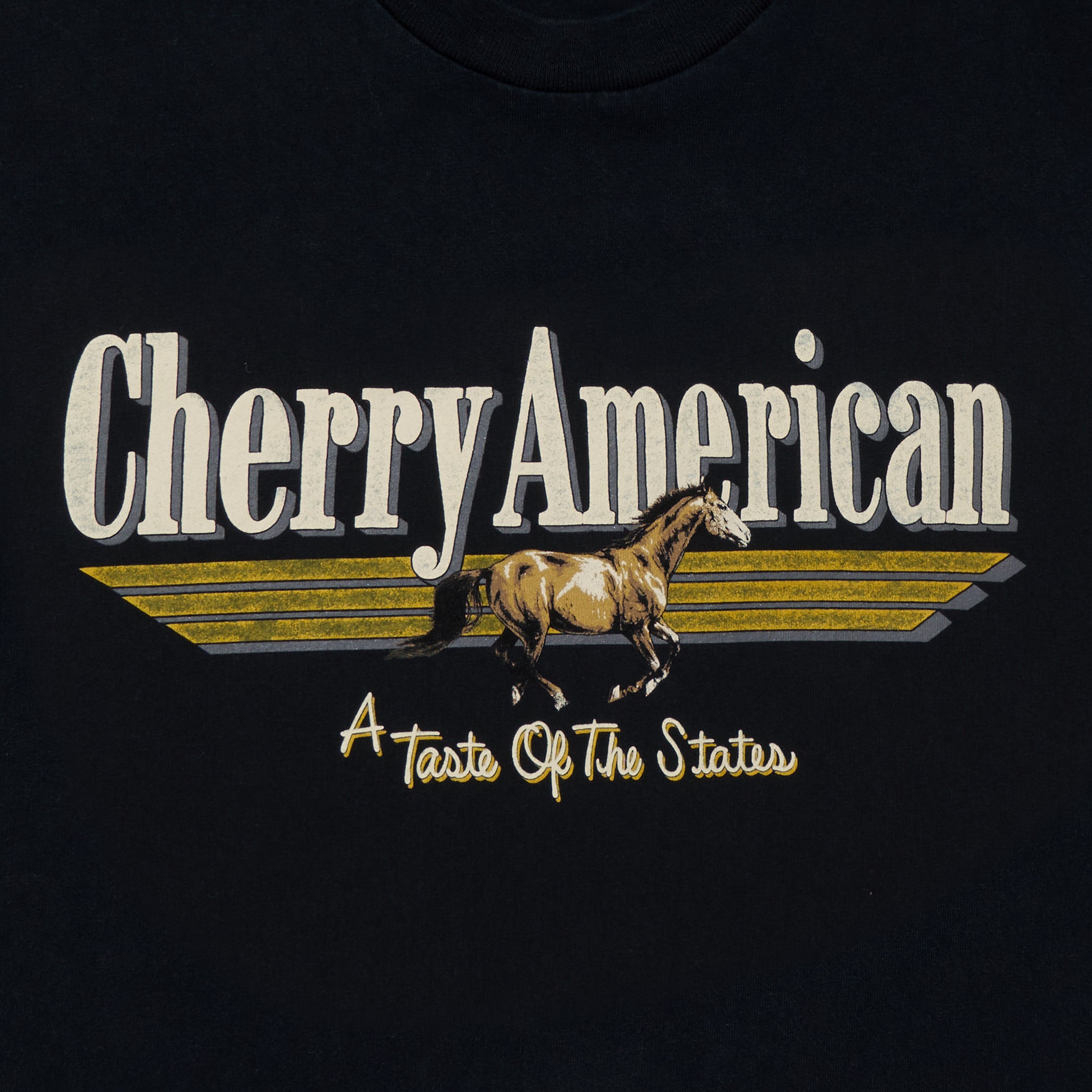 Coast to Coast Boxy T-Shirt (Vintage Black)