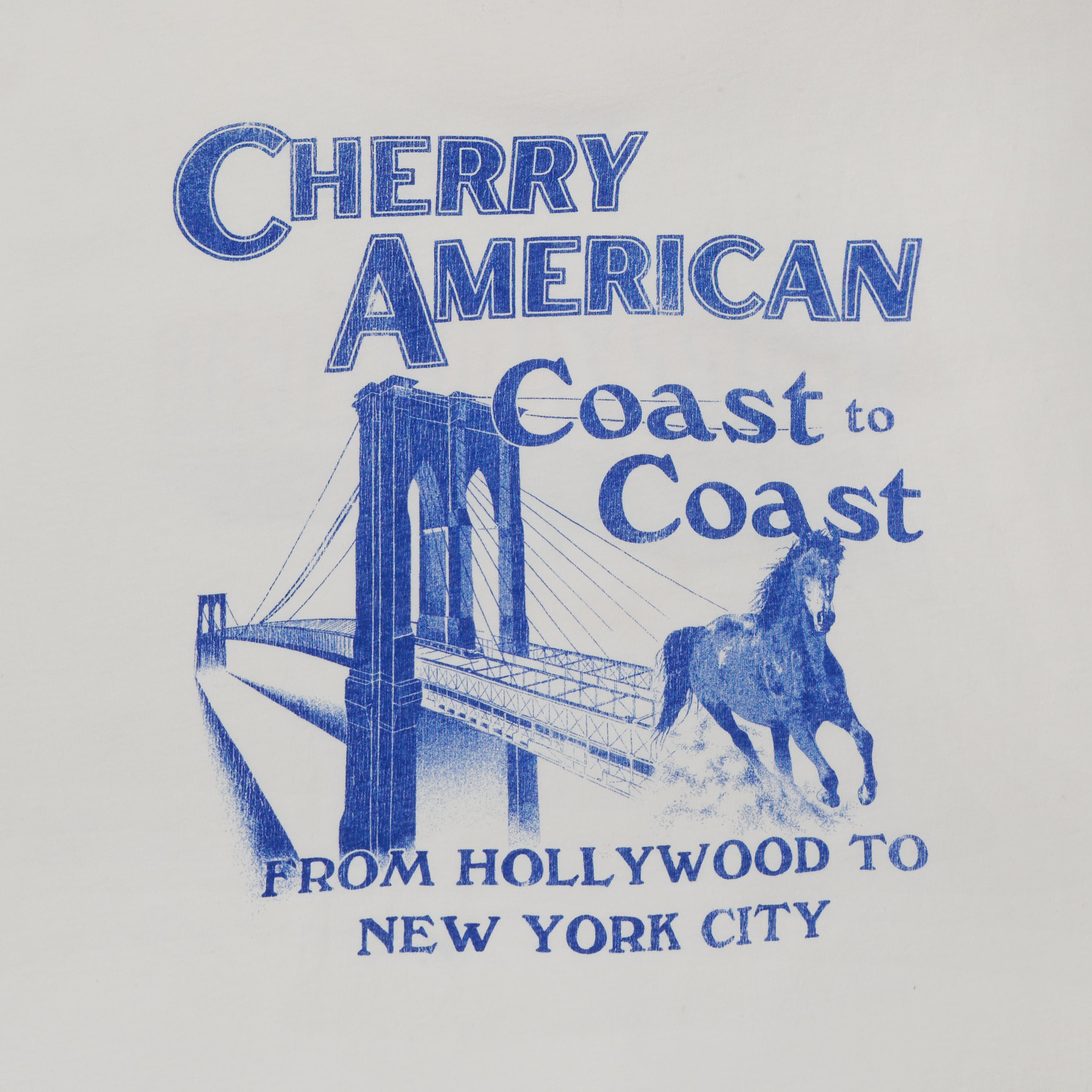 Coast to Coast Boxy T-Shirt (Vintage White)