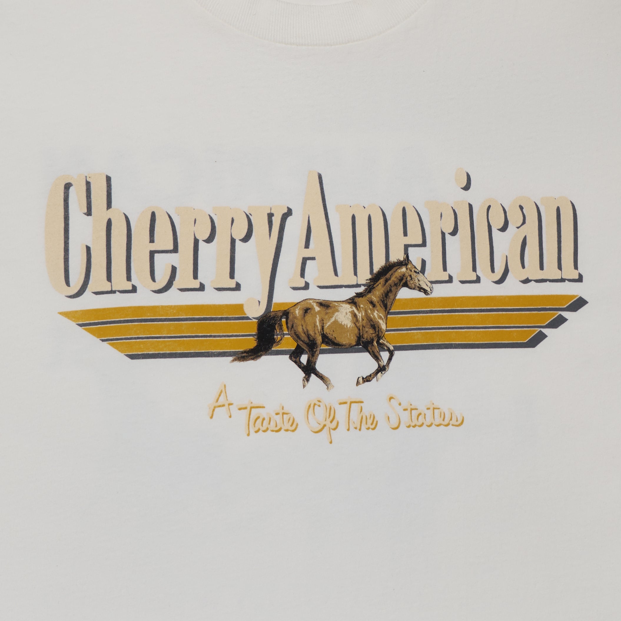 Coast to Coast Boxy T-Shirt (Vintage White)