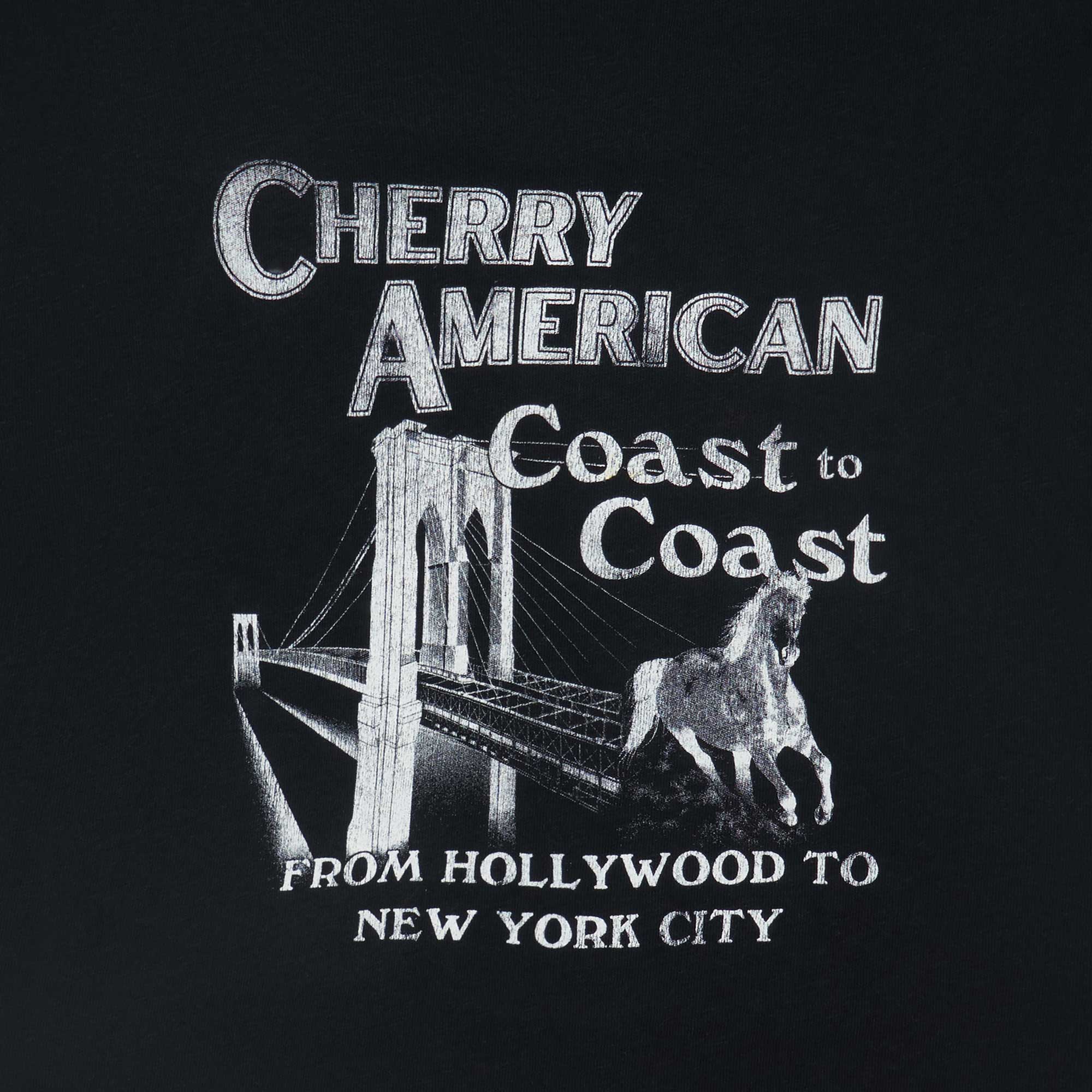 Women's Coast to Coast Fitted Baby Tee (Vintage Black)