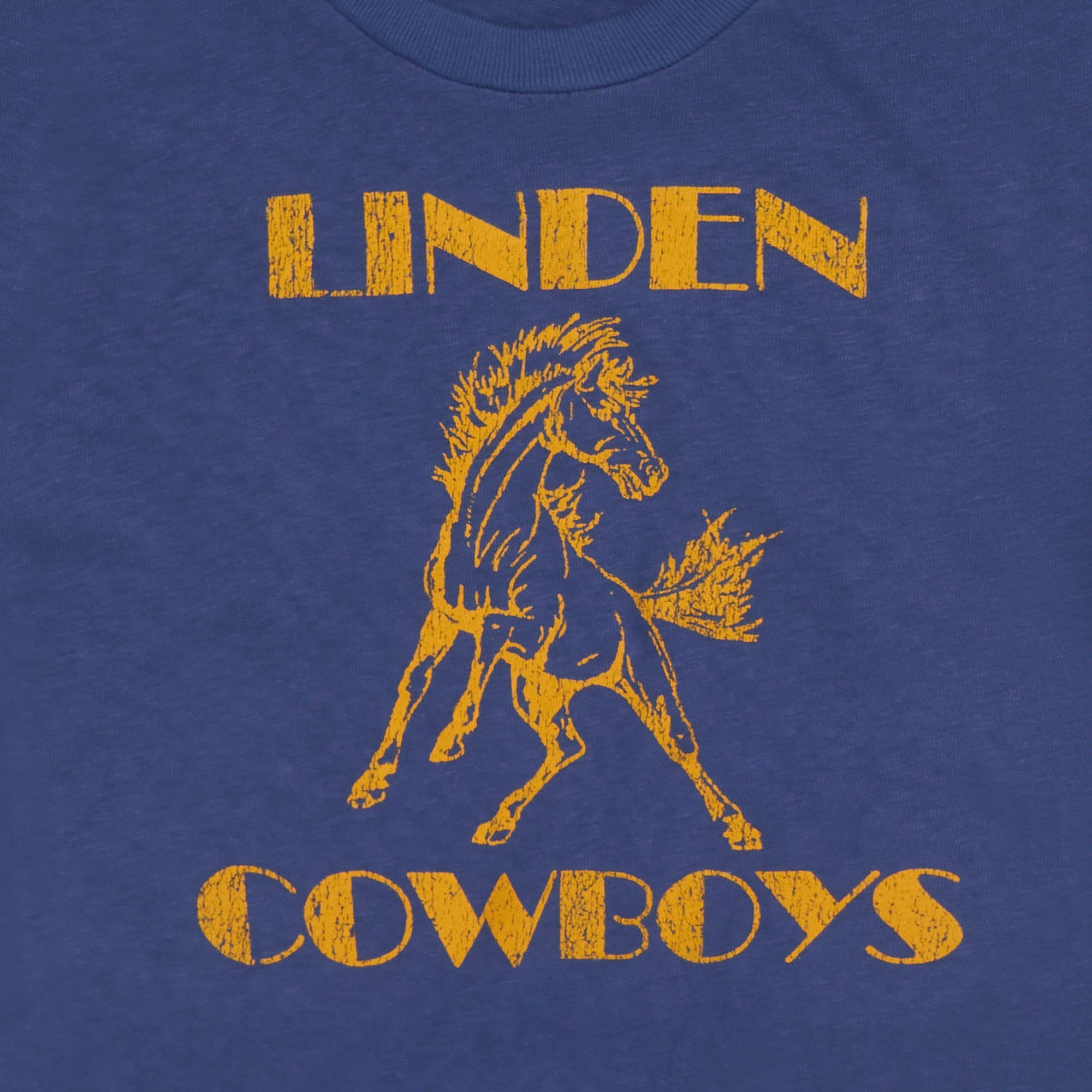 Women's Cowboys Fitted Baby Tee (Sun Faded Blue)