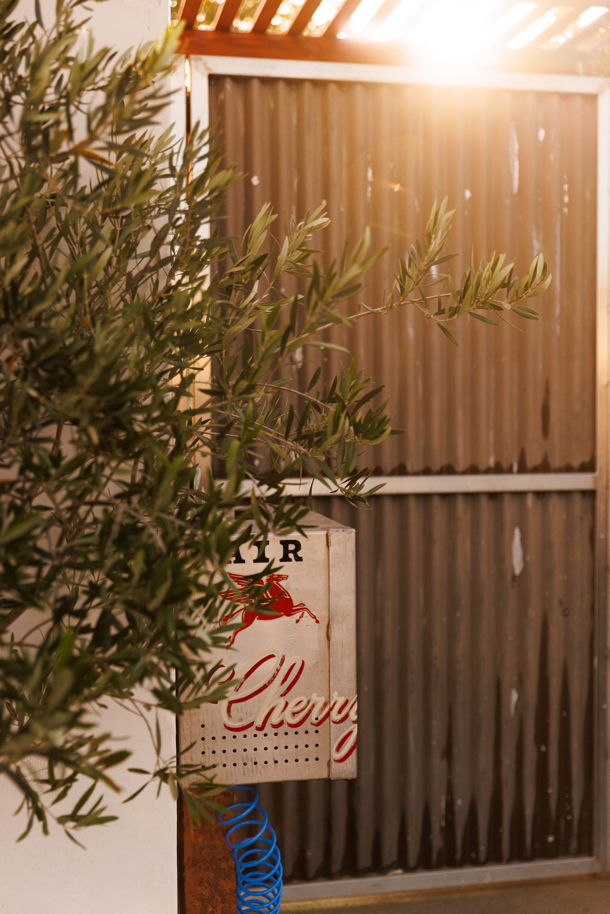 Cherry Malibu displays