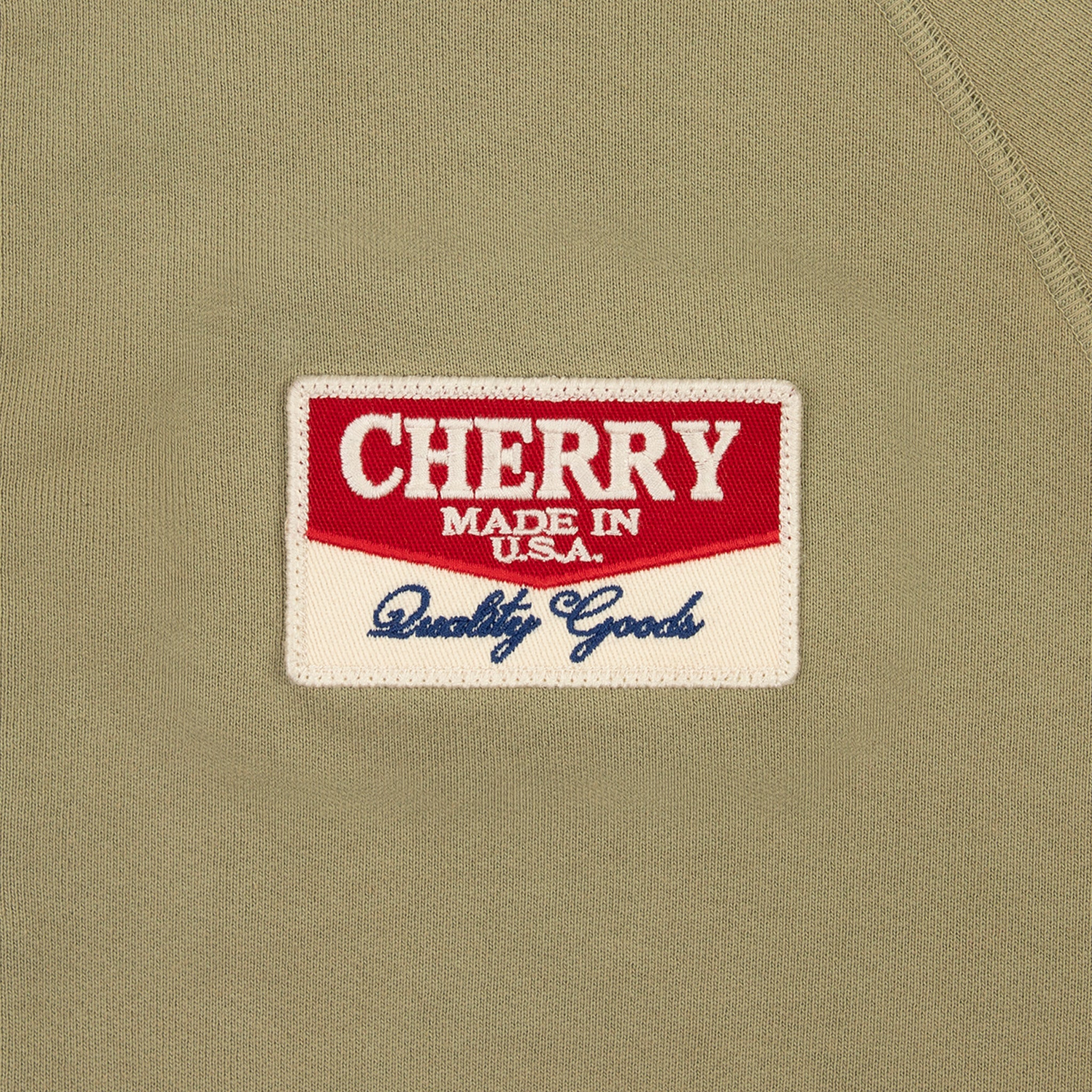 Desert Gecko Zip Up Hoodie (Cactus)