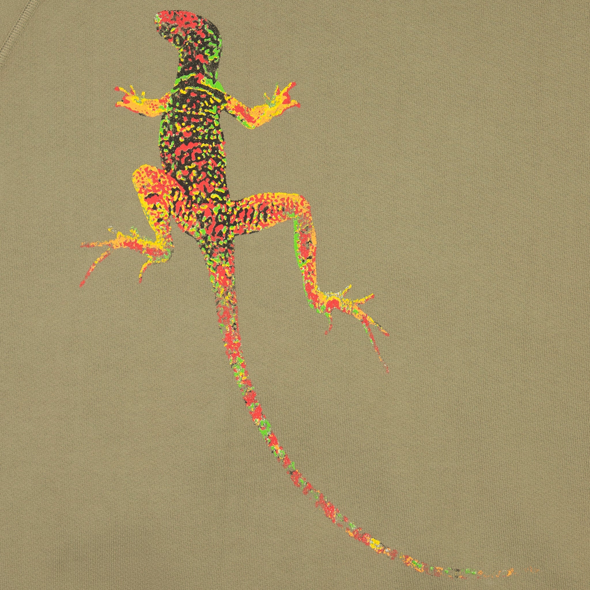 Desert Gecko Zip Up Hoodie (Cactus)