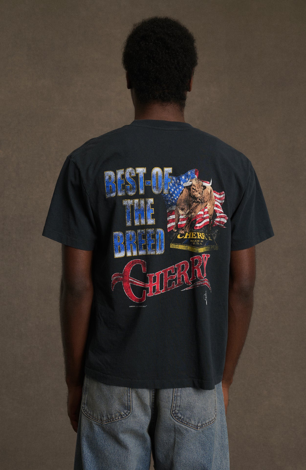 Best Of The Breed Classic Pocket T-Shirt (Vintage Black)