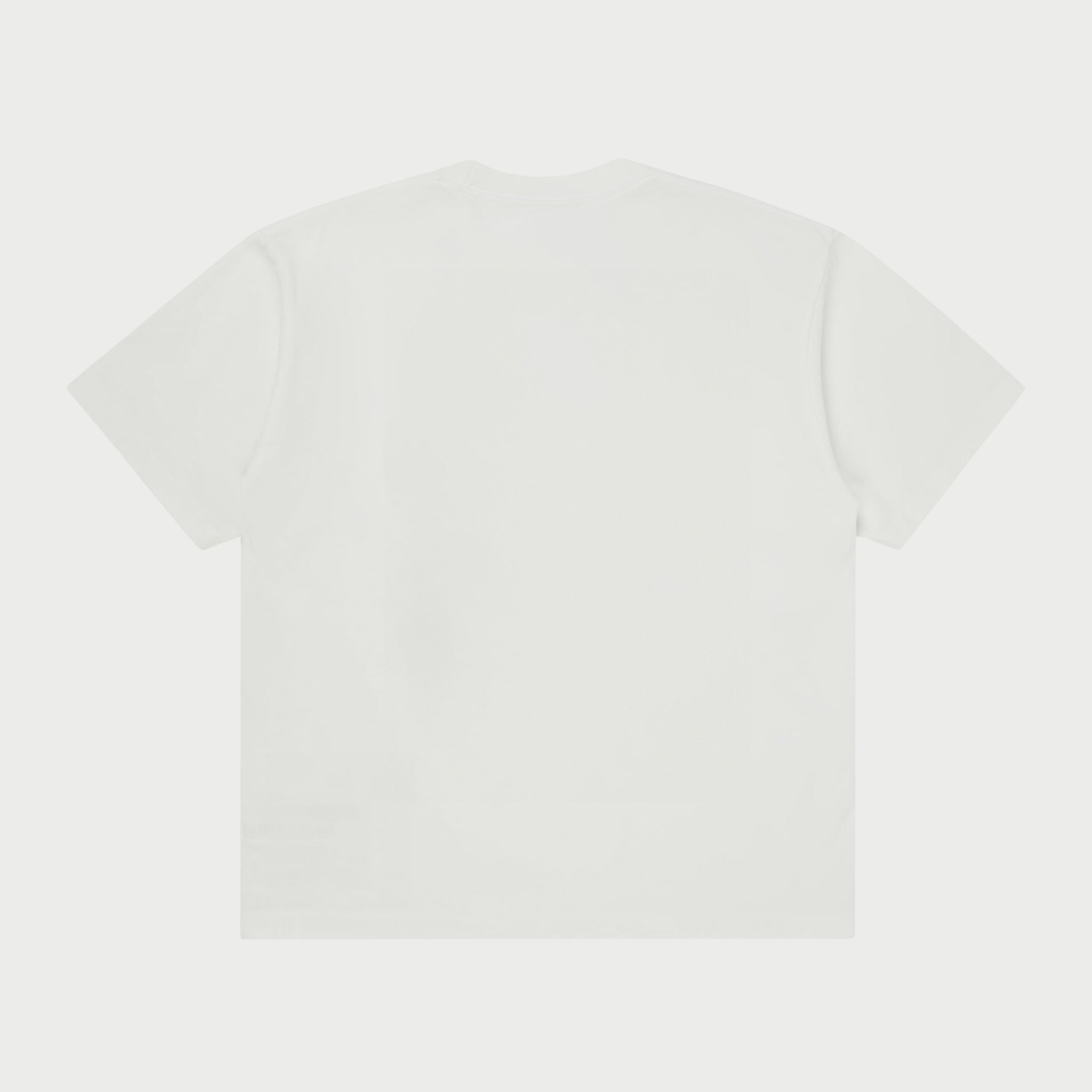 Chevron Logo Pocket T-Shirt (White)