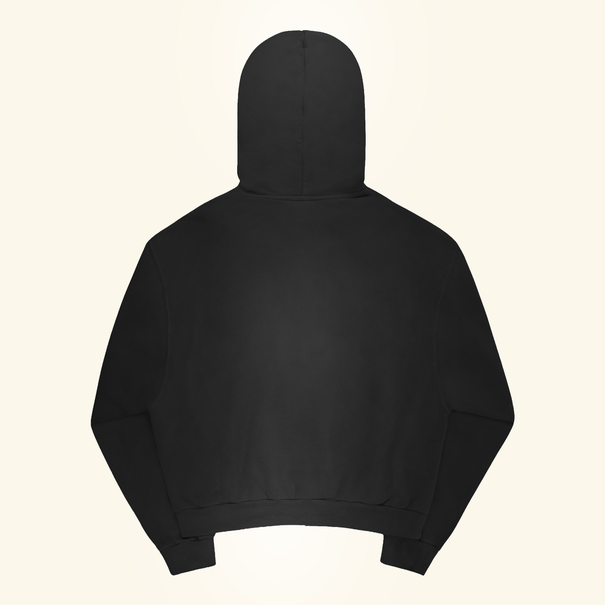 Zip Up Hoodie (Vintage Black)