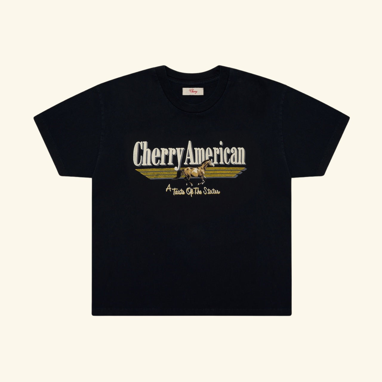 Coast to Coast Boxy T-Shirt (Vintage Black)