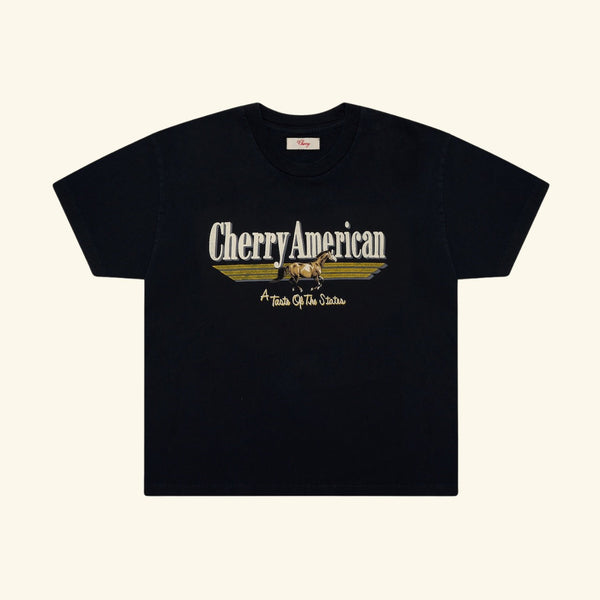 Coast to Coast Boxy T-Shirt (Vintage Black) – CHERRY LA