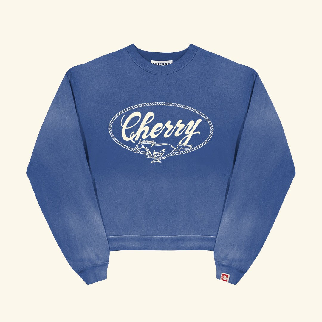Horse Power Crewneck Sweatshirt – CHERRY LA