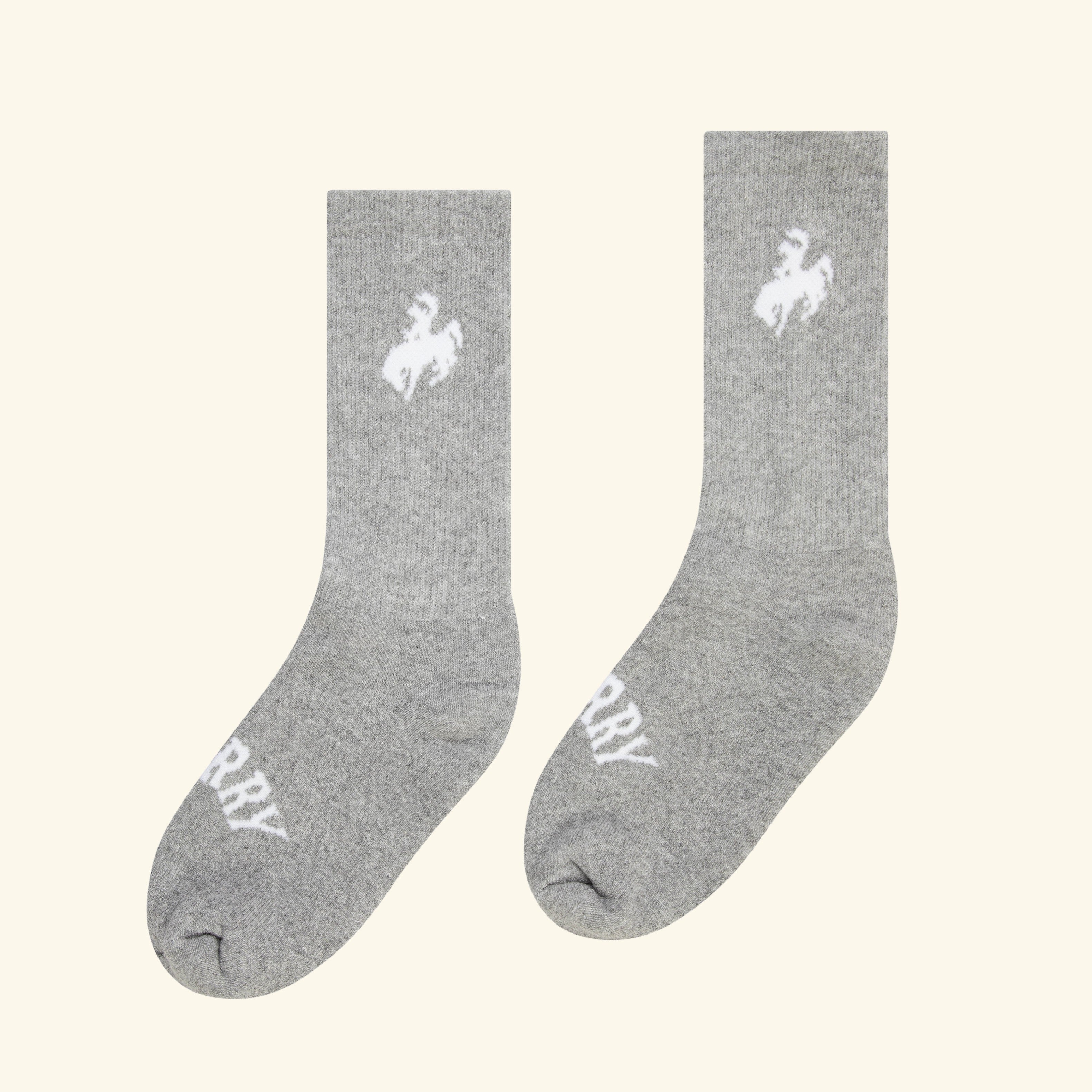 p-KTNPeX-SOCKS_6_1_f2fad52c-1c68-4968-ab34-497dc0651560.jpg