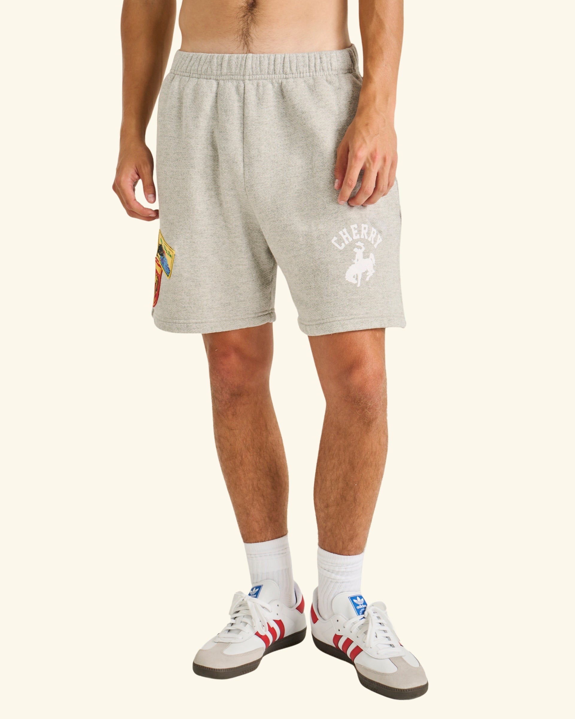 Traveler Sweatshorts