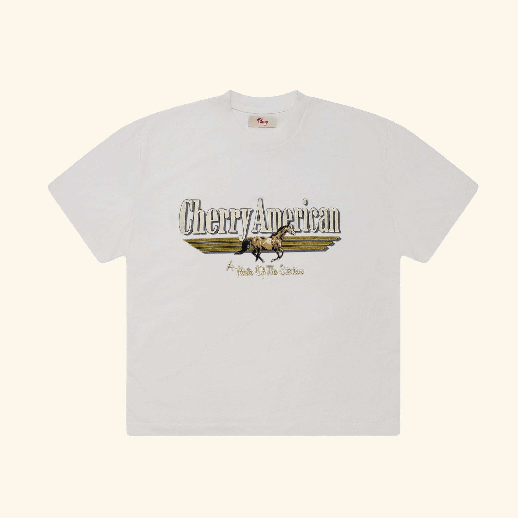 Coast to Coast Boxy T-Shirt (Vintage White)