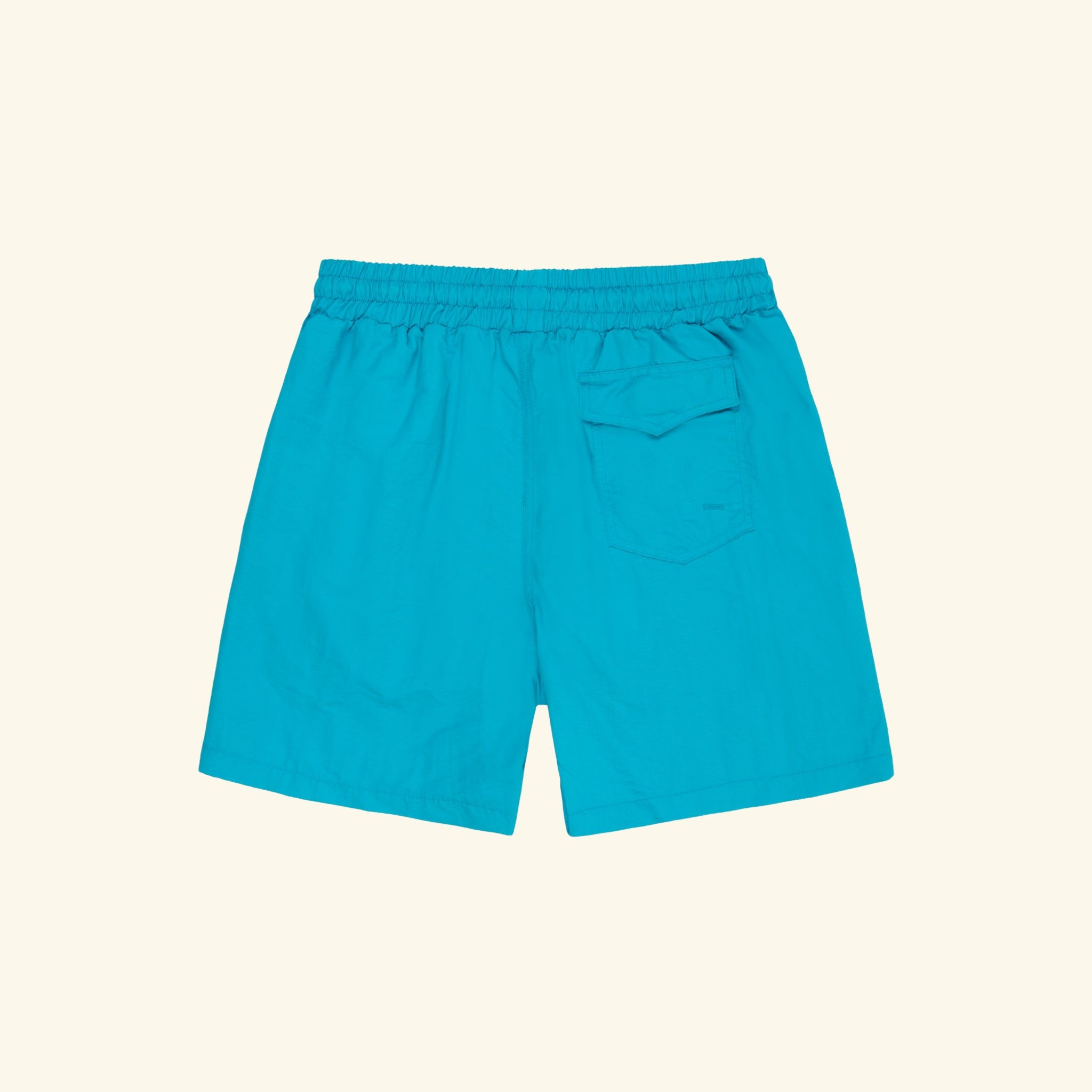 Five Star Swim Trunk (Aqua)