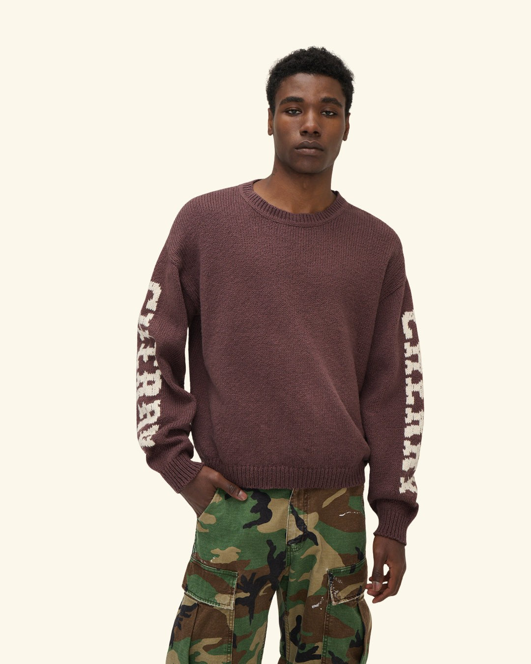 Cotton Knit Crewneck Sweater (Brown)
