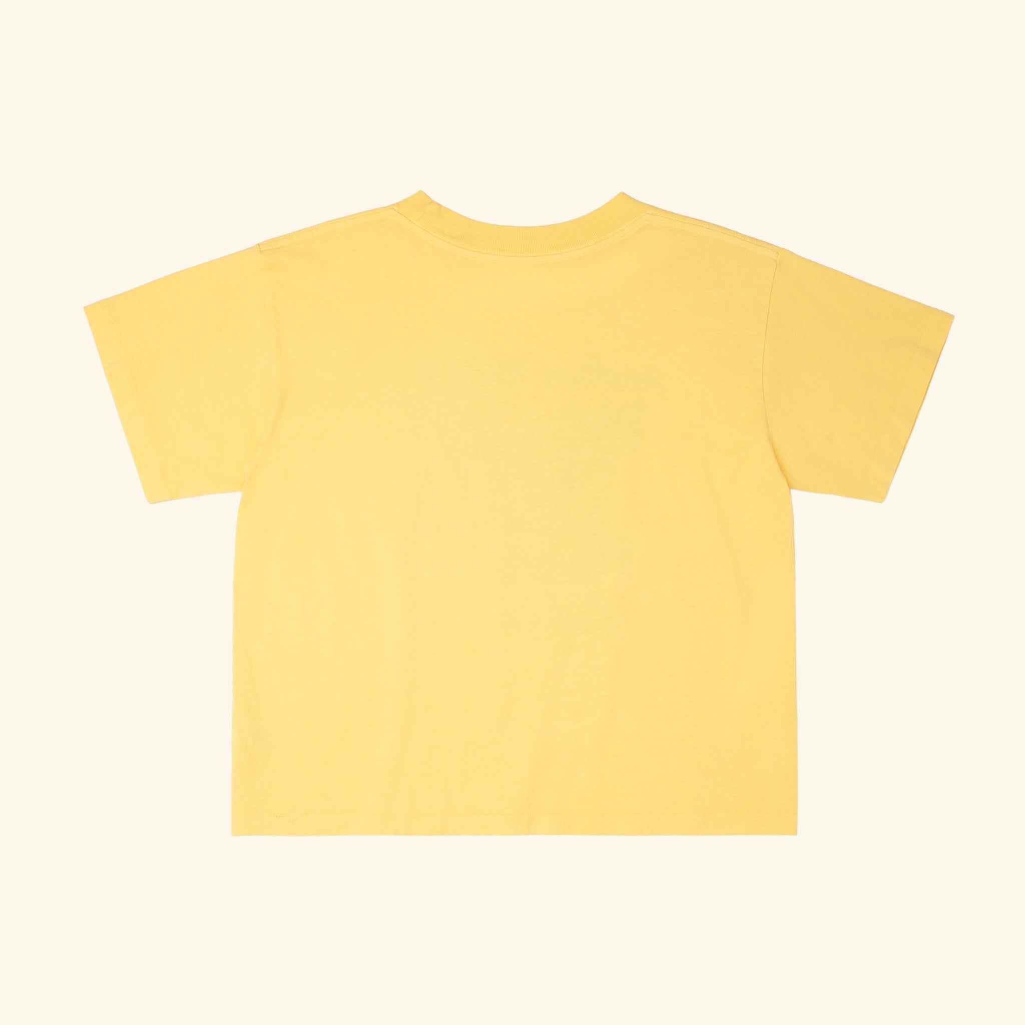 Paradise Boxy Baby Tee