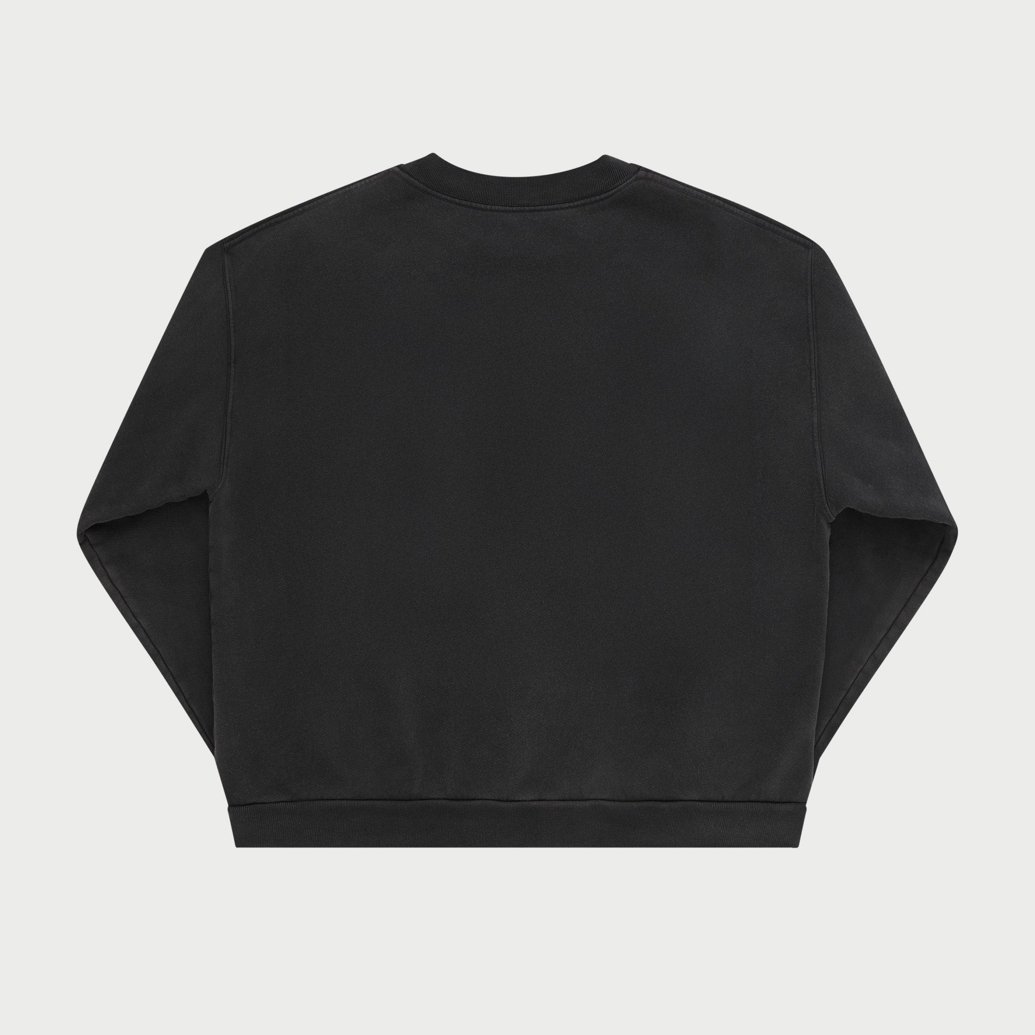 rt_CLASSIC_CREWNECK_BLACK_2_1.jpg