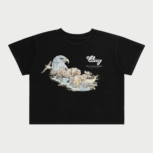 wilderness_HENLEY_bbbboxhK_BLA